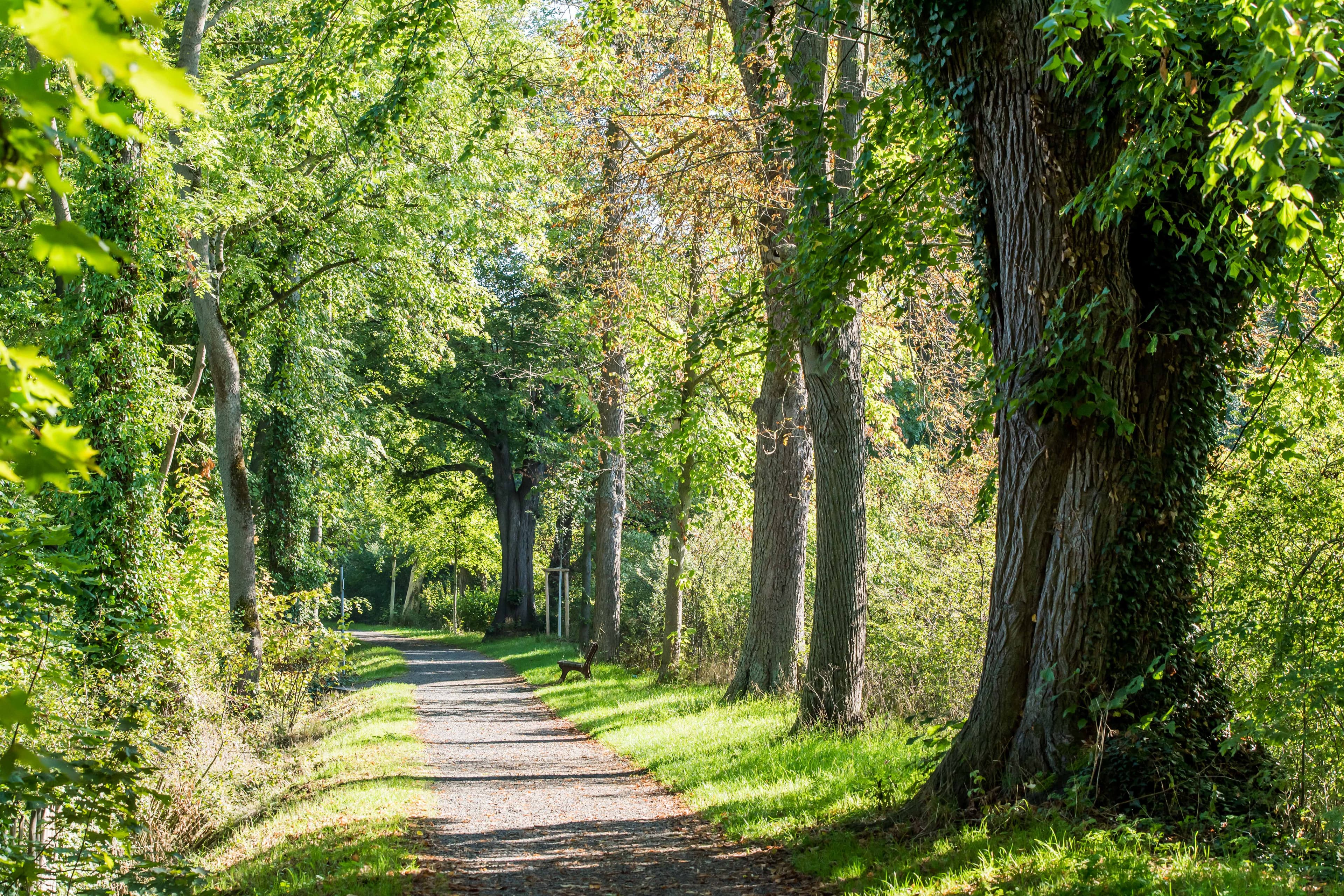 Naturerlebnisse in Duderstadt
