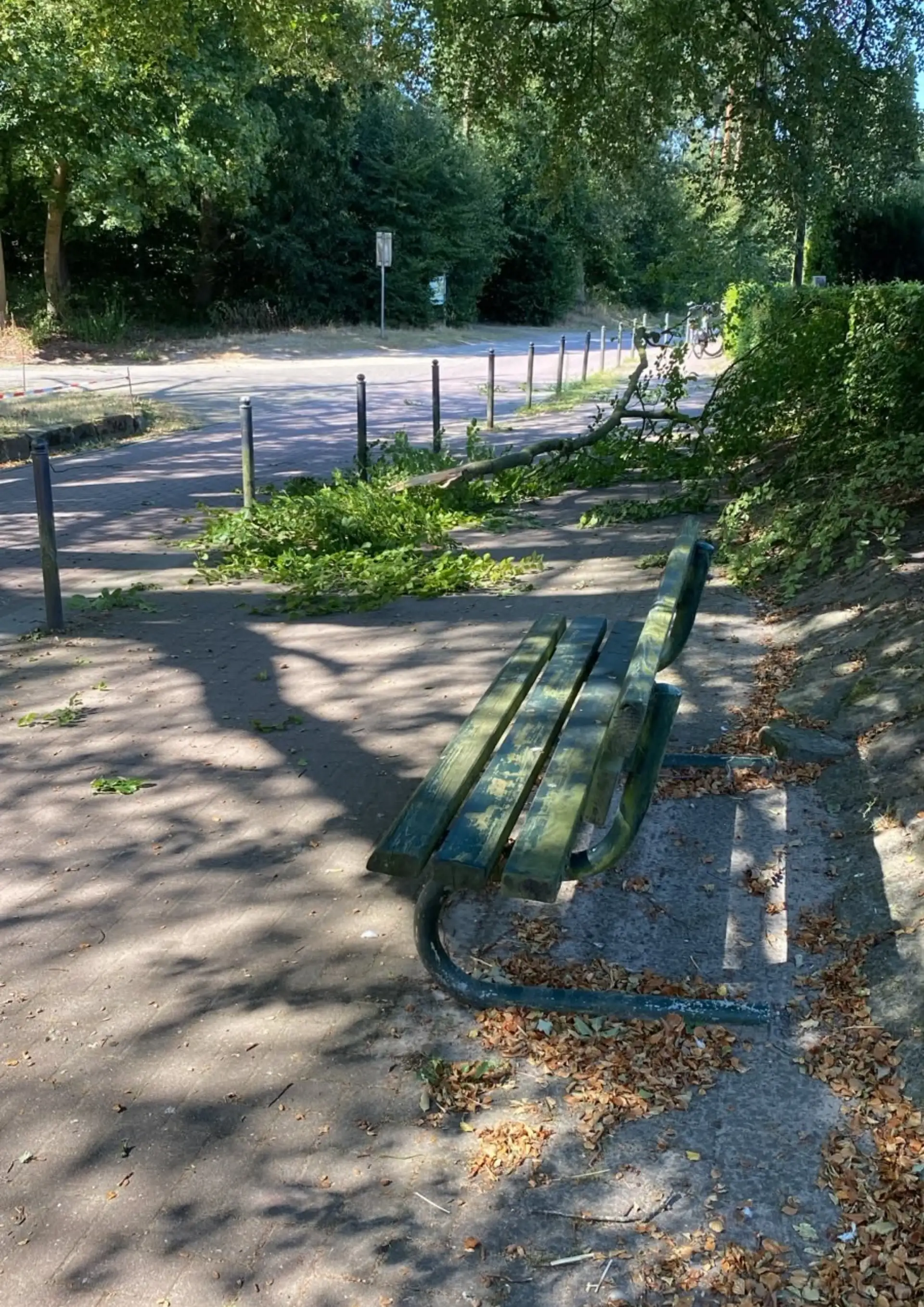 Landkreis Emsland) 1 Anja Rohde