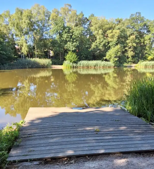 Stadt Buchholz baut zweite Holzplattform am Stadtteich Heidekamp zurück